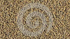 Slow rotation of the heap of rye grains.
