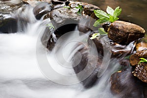 Slow shutter photo of a small water stream