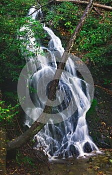 Slow Shutter Waterfall In Rich Green Forest