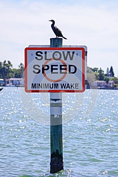 Slow speed sign in Tampa Bay