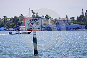 Slow speed sign in Tampa Bay