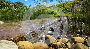 Slow stream of water pond surrounded by lush water vegetation and small rocks