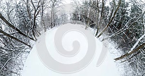 Slow transformation of the landscape into tiny planet in snow covered forest. curvature of space.