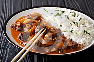 Slowly cooked Hayashi beef with onions and mushrooms in spicy sa