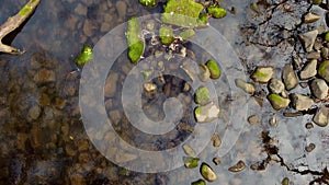 Slowly floating over creek while looking straight down in winter with green moss covered rocks