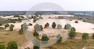 Slowly Flying over Beautiful Sand and Heath Nature - Drents Friese Wold, The Netherlands, 4K Drone Footage