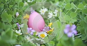 Slowly focusing on hidden Easter egg in garden full of flowers
