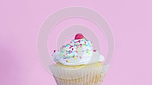 Slowly rotating one cup cake with cream on pink theme