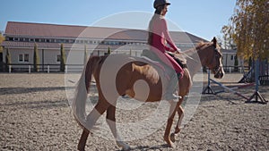 Slowmo of a Caucasian girl in pink clothes and helmet riding brown horse in the corral. Young female equestrian resting