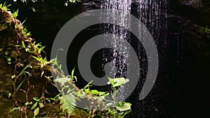 slowmo of a dark rocky jungle waterfall with rocks in the foreground with green plants