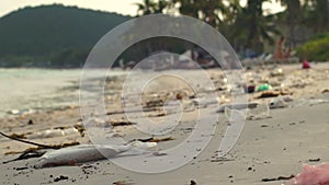 Slowmotion steadycam shot of a beach with fine white sand covered with garbage