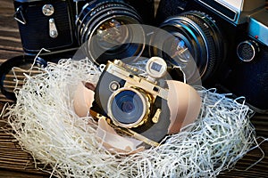 SLR cameras and compact as parents and baby in nest