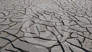 Sludge of Waste water treatment plant in sri lanka