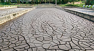 Sludge of Waste water treatment plant in sri lanka