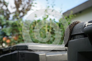 A slug crawls on a plastic composter in the garden in June. Berlin, Germany