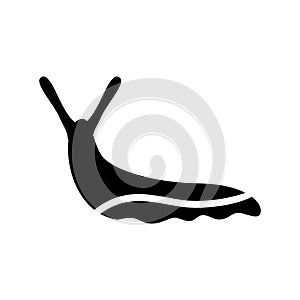 Slug  icon or logo isolated sign symbol vector illustration