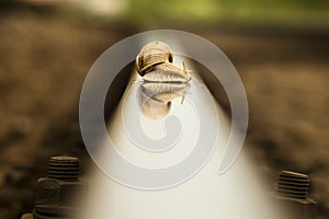 Slug on rail