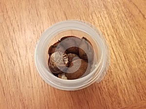 Slugs and snails in a plastic container on a wood table