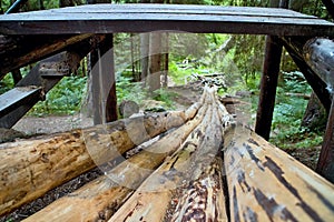 Sluice flume in a forest open-air museum in Vydrovo. photo