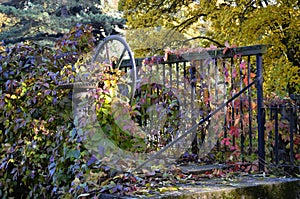 Sluice gate in the park