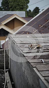 Slum conditions above the two-story house.