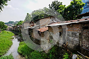 Slums beside the river with bushes photo taken in Semarang Indonesia