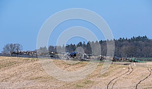 Slurry hosing, agricultural vehicle is distributing liquid manure through hoses in the field, spreading close to the ground