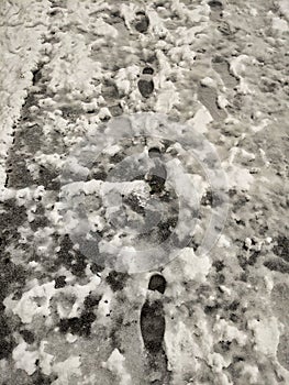 Slushy snow melting away from foot traffic on a sidewalk