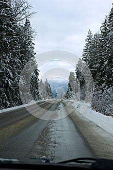 Slushy Winter Road