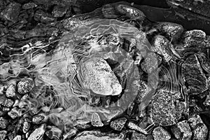 SM Snow river Stones close BW