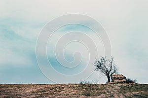 Small abandoned cottage on a hill. Leafless tree with and cloudy autumn afternoon scene