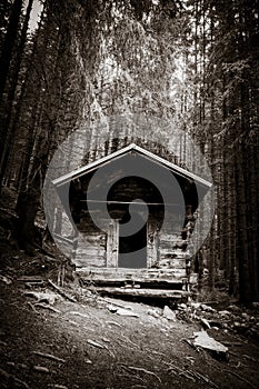 Small wooden cabin in a dark fir forest. Black and white