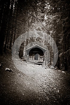 Small wooden cabin in a dark fir forest. Black and white