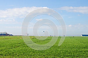 Small airplane flying