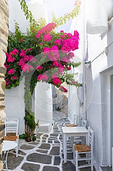 Small alley with colourful bougainvillea flowers in the small village of Naousa on Paros