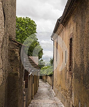 Alley in Hautvillers photo