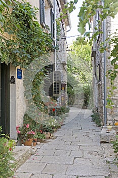 Small alley in Istria, Croatia