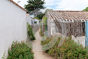 Small alley in Noirmoutier island in Vendee France