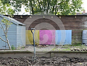 A small allotment patch freshly dug ready to sow