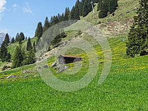 Small alpine hut in swiss Alps near Oeschinensee in Kandersteg