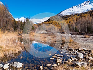 Small alpine mountain pond in fall - Val Ferret, Courmayer