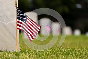 Small American flag at National cemetary - Memorial Day display