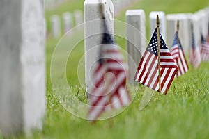 Small American flag at National cemetary - Memorial Day display