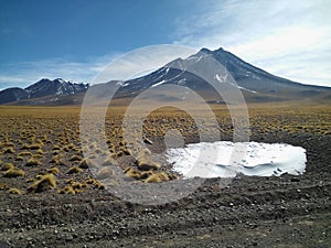 Small amount of ice with grass around, some vicunas and a volcano photo