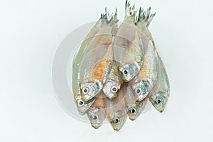 Small anchovy mola carplet or mourala fish on white background