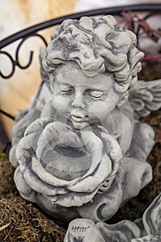Small angel figurine with flower pot