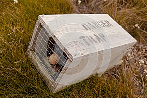 Small animal trap with written warning for humans photo