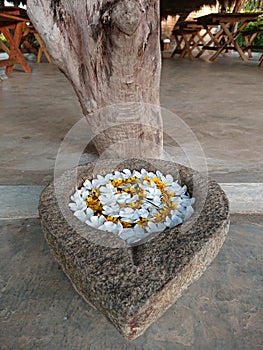 Small Antique Asian Water Trough In Sri Lanka