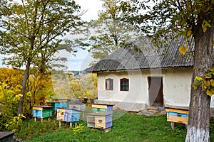 Small apiary with colorful hives in a yard of old country house in rural area, cloudy autumn day, green tourism