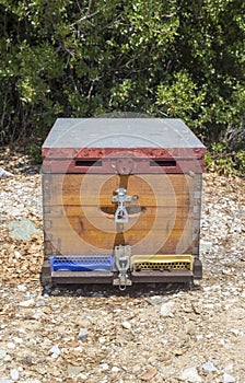 Small apiary in the mountains on a summer day Greece, Pelio